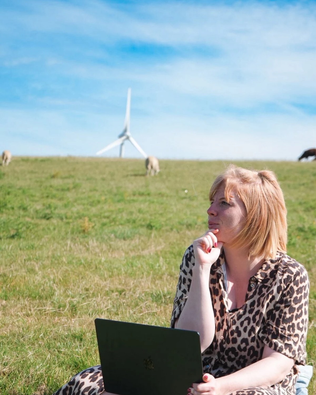 Maren Thiel von lautsocials sitzt mit Laptop am Deich in Nordfriesland, im Hintergrund ein Windrad und Schafe